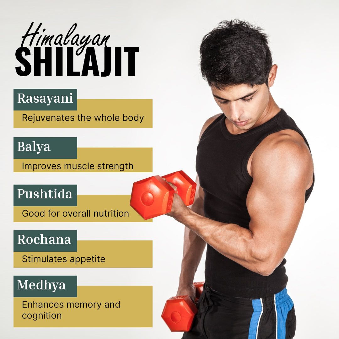 Original Himalayan Shilajit ( 20 Grams )